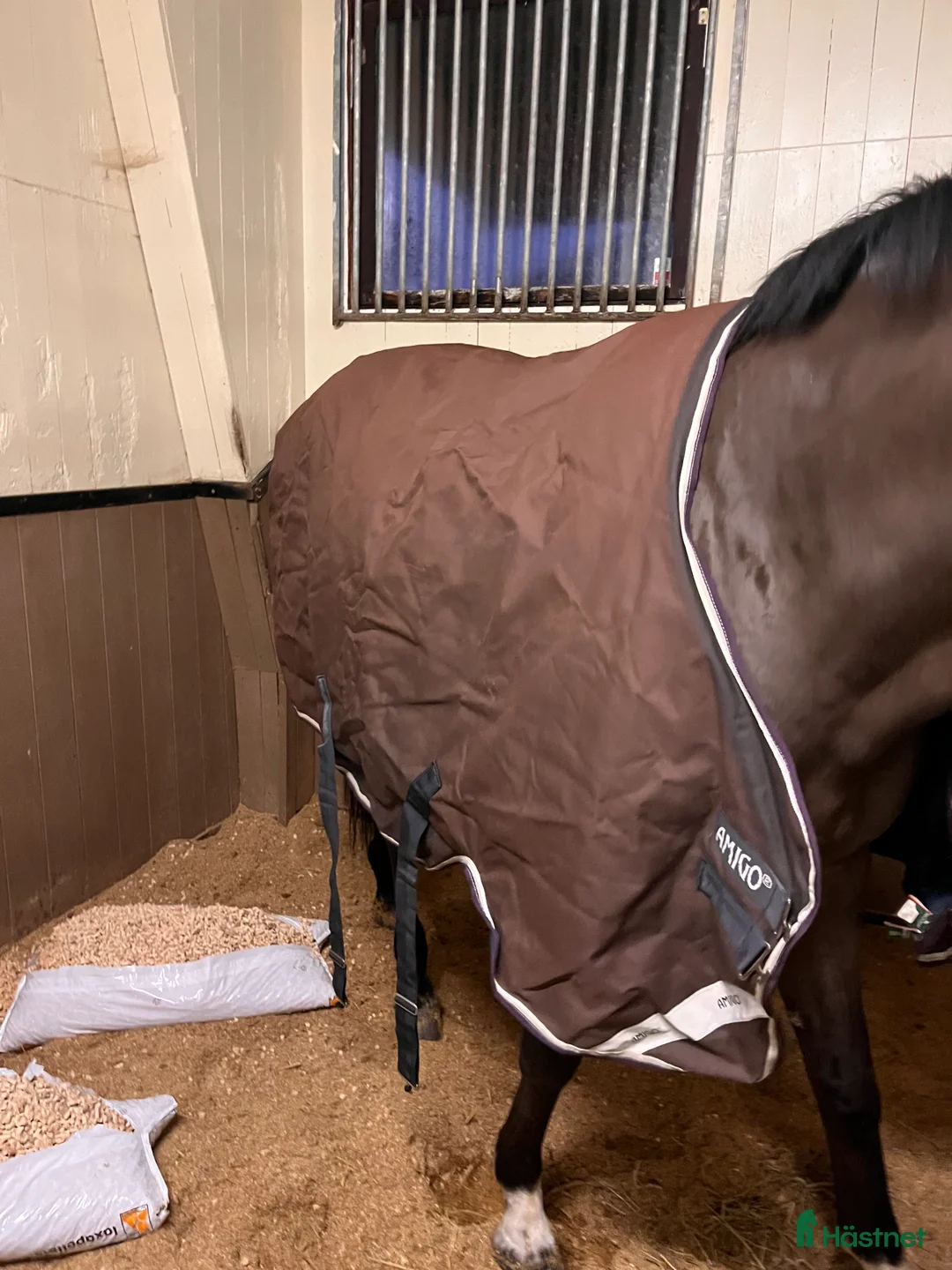 Täcken hästutrustning till salu: Horseware utetäcke 300 g i Söderby - Annons 1