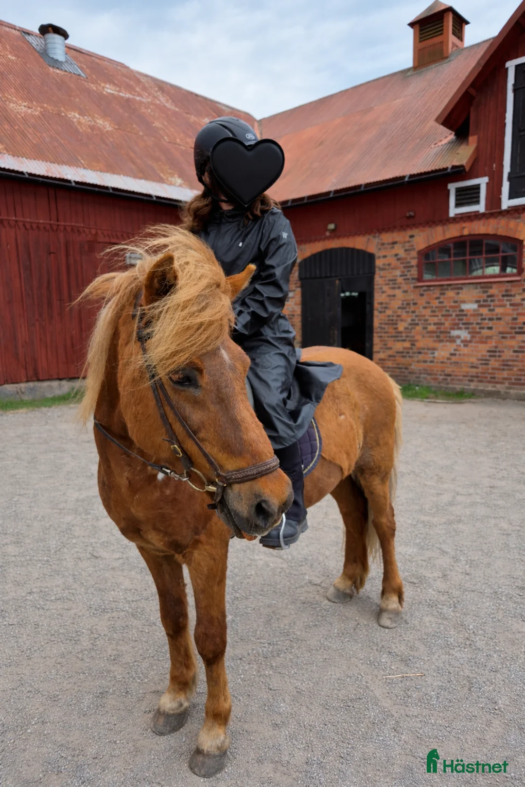  medryttarhäst sökes: Medryttare med fokus på mjuk och lugn uteridning - Annons 1