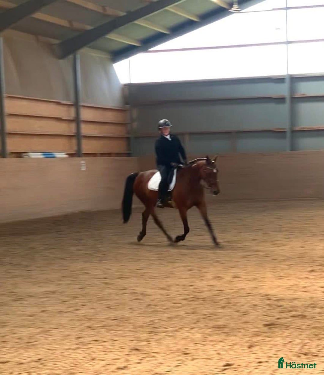  medryttarhäst finnes: Två medryttare sökes i Örkelljunga  i Örkelljunga - Annons 3