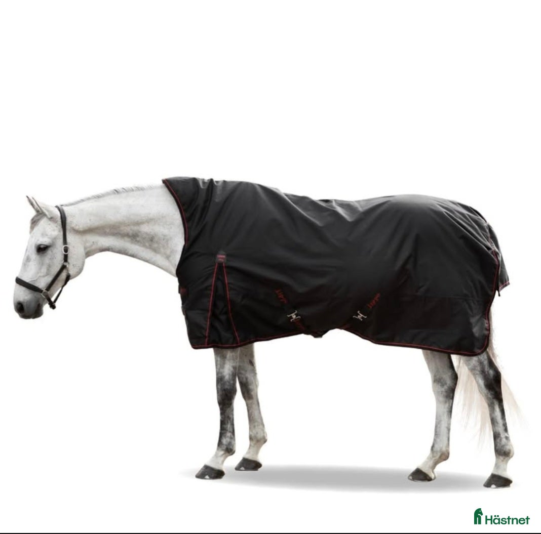Täcken hästutrustning Lippo Utetäcke "bild lånad"  - Annons 2