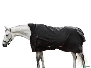 Täcken hästutrustning Lippo Utetäcke "bild lånad" - Annons 2