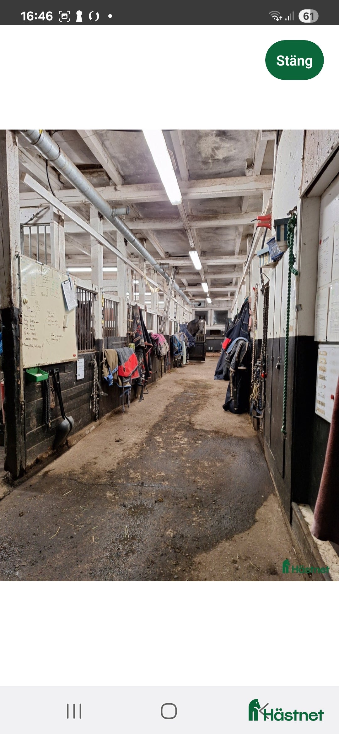  stallplats finnes: Stallplatser i Tungelsta  i Tungelsta - Annons 4