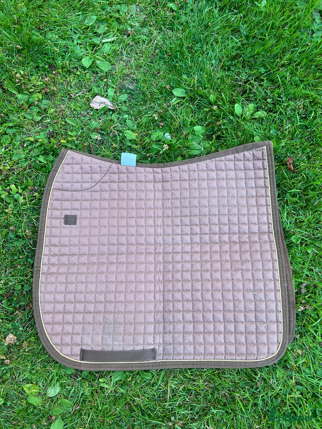 Schabrak & Vojlockar hästutrustning till salu: Mias schabrak dressyr i Sala - Annons 1