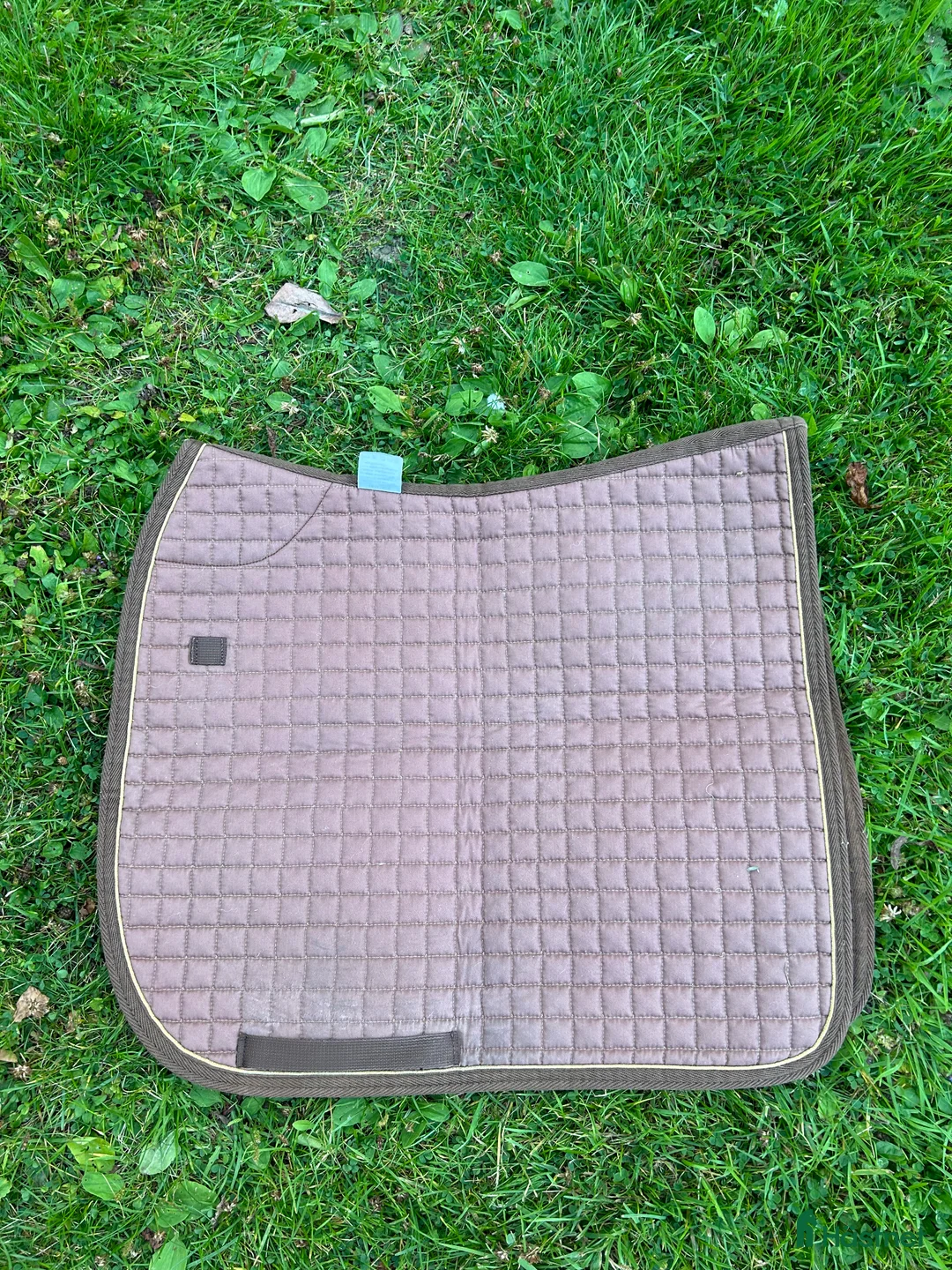 Schabrak & Vojlockar hästutrustning till salu: Mias schabrak dressyr - Annons 1