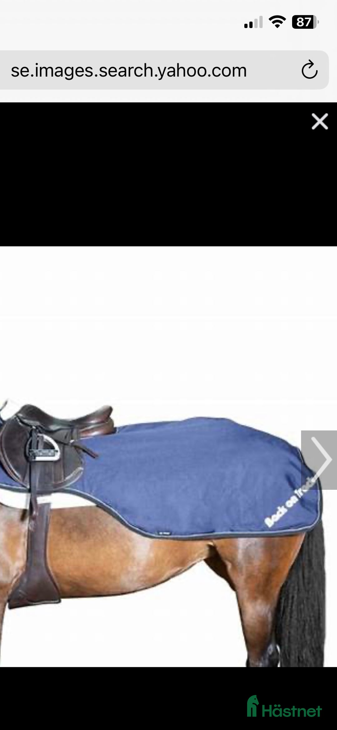 Täcken hästutrustning till salu: Skrittäcke Back on Track i Göteborg - Annons 3