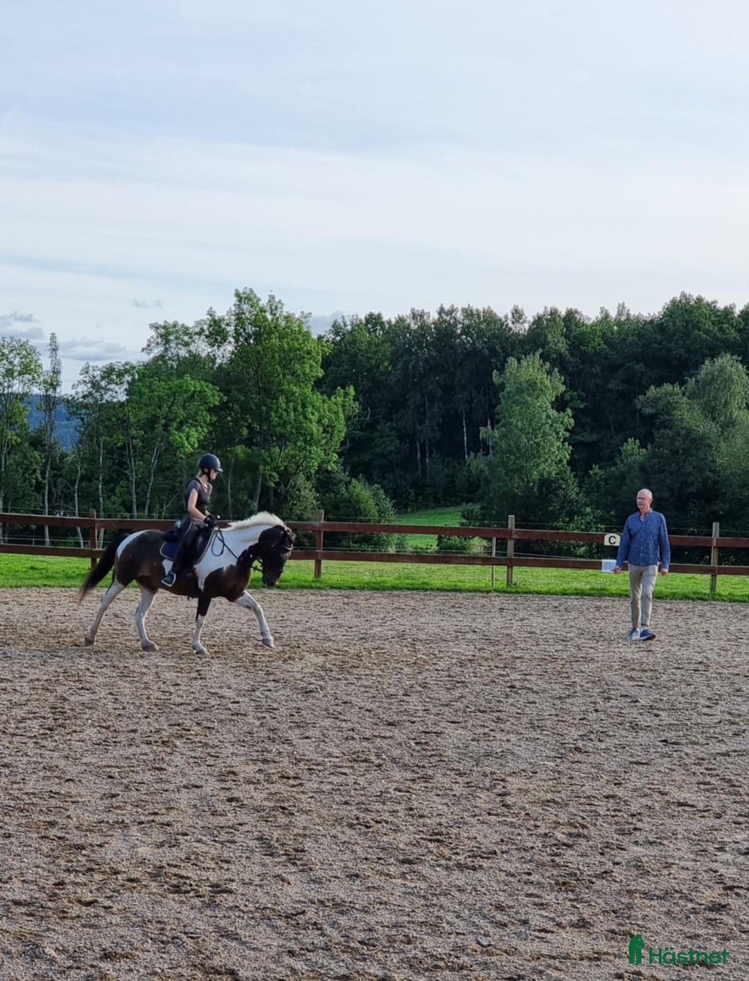 Allround hästar till salu: Dags för vår fina Charlie att hitta en ny ryttare i Munkedal - Annons 6