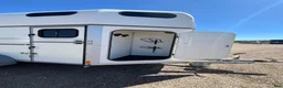 Hästtransporter  fordon & transport till salu: Pedantskött Forzab Futuro 226SEH - Annons 7