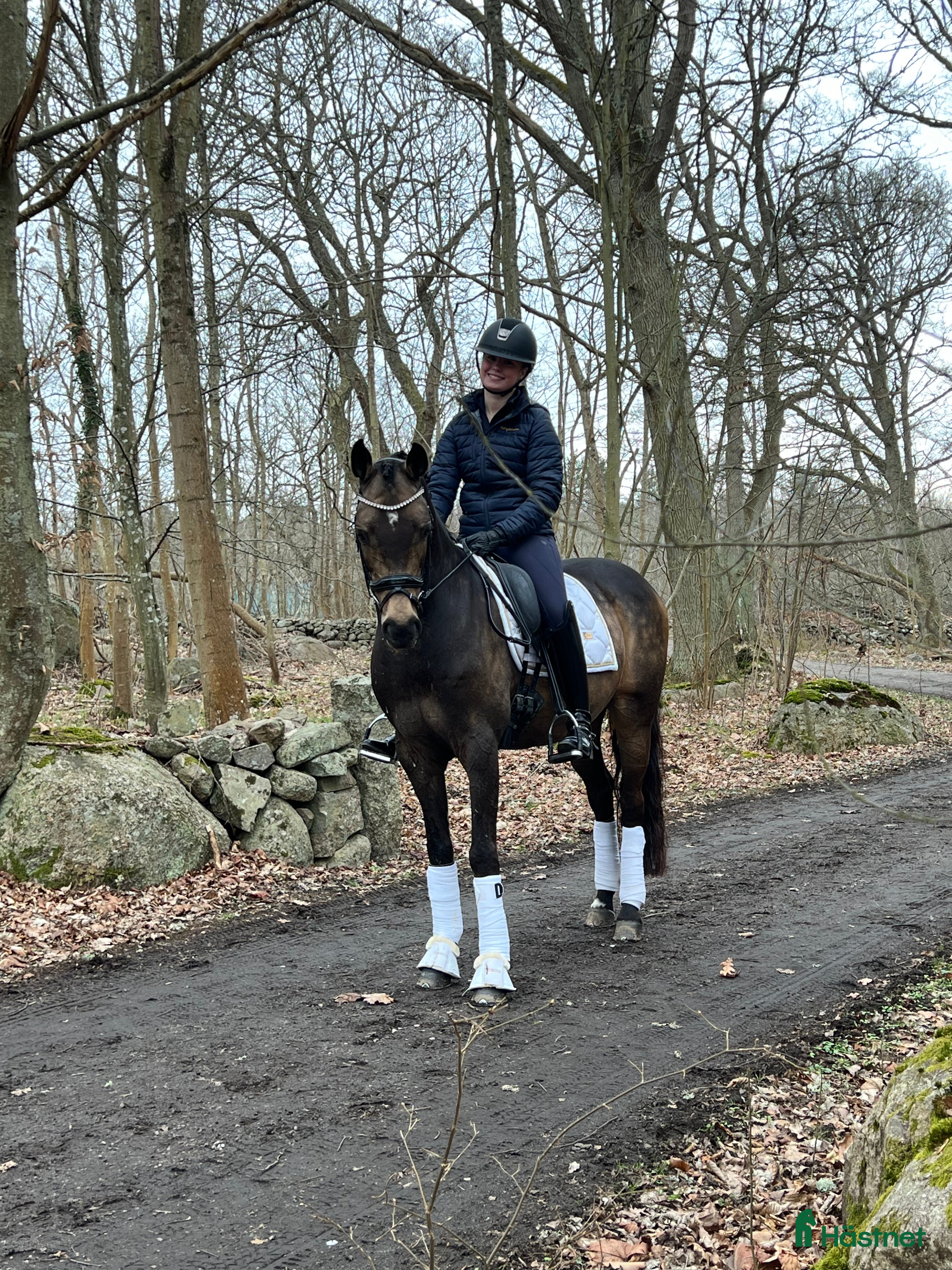  hästar Topp FEI ponny i Nybrostrand - Annons 19