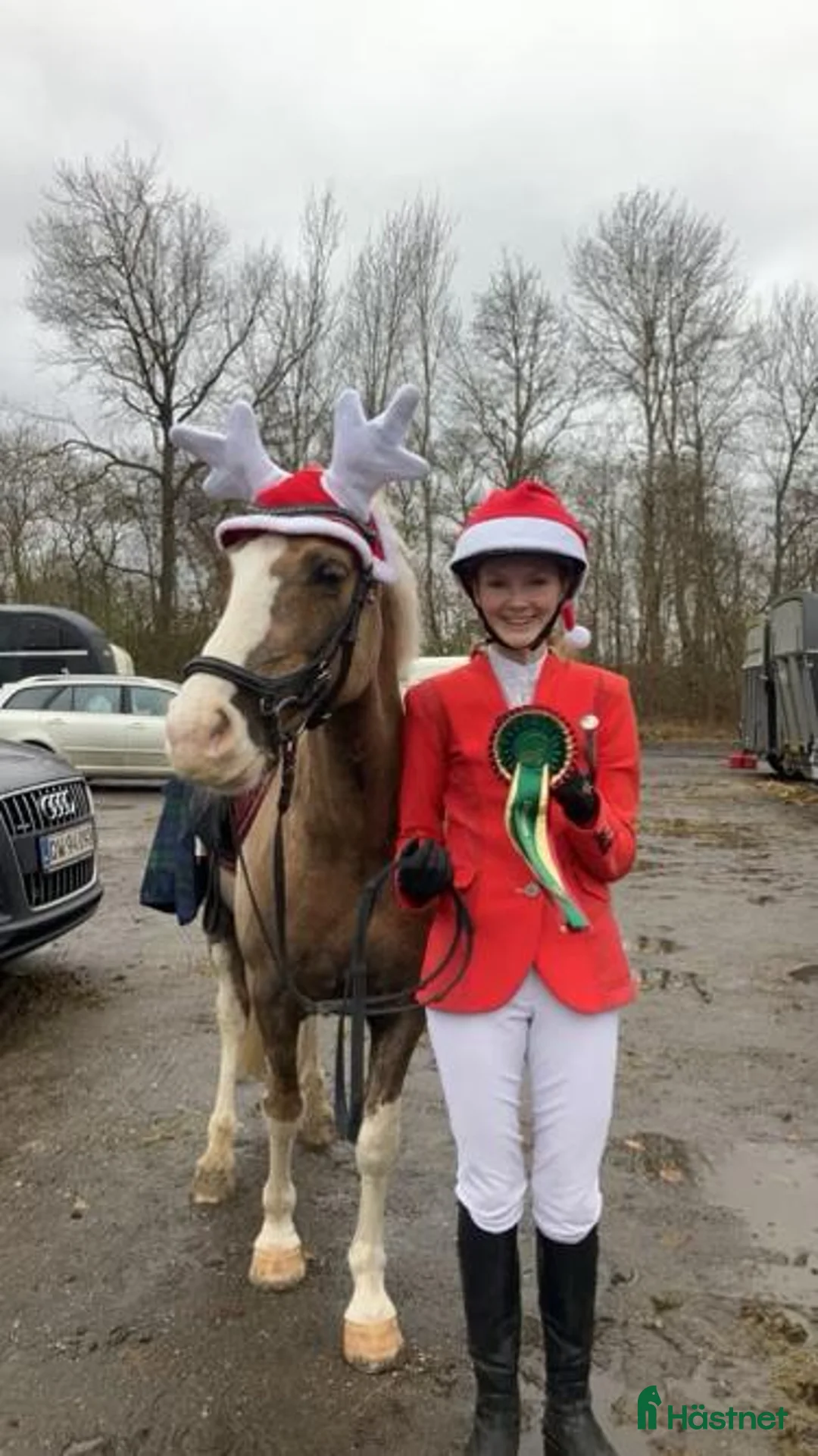 Hoppning hästar till salu: Stjernepony  - Annons 11