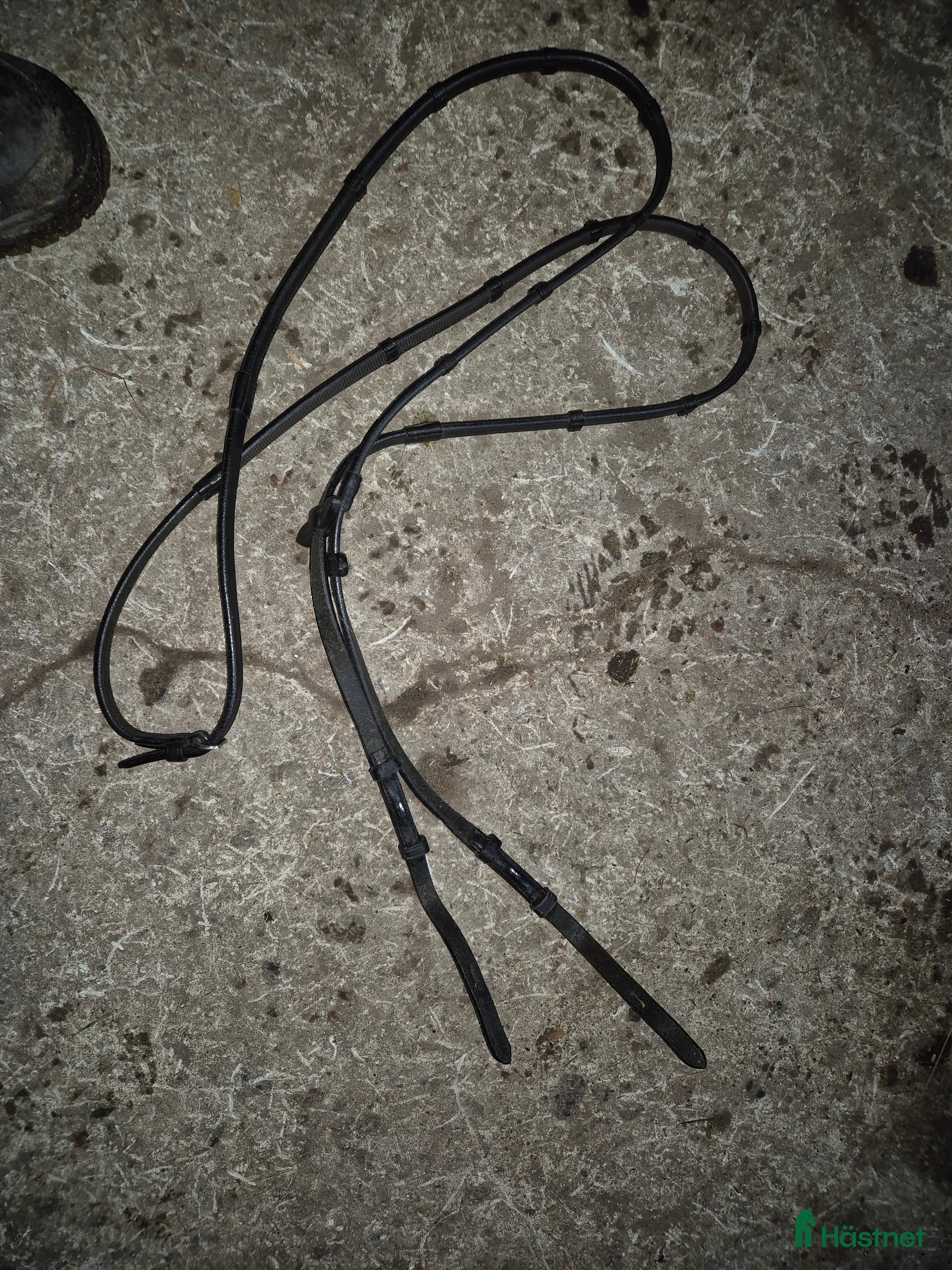 Träns hästutrustning Tyglar i Säve - Annons 4