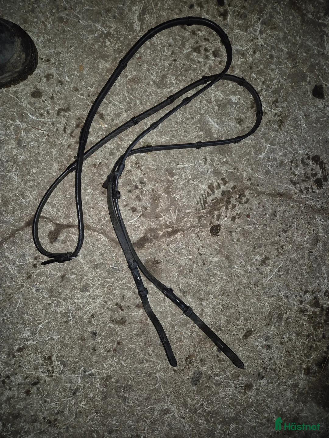 Träns hästutrustning till salu: Tyglar i Säve - Annons 1