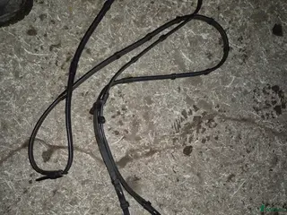 Träns hästutrustning Tyglar i Säve - Annons 4