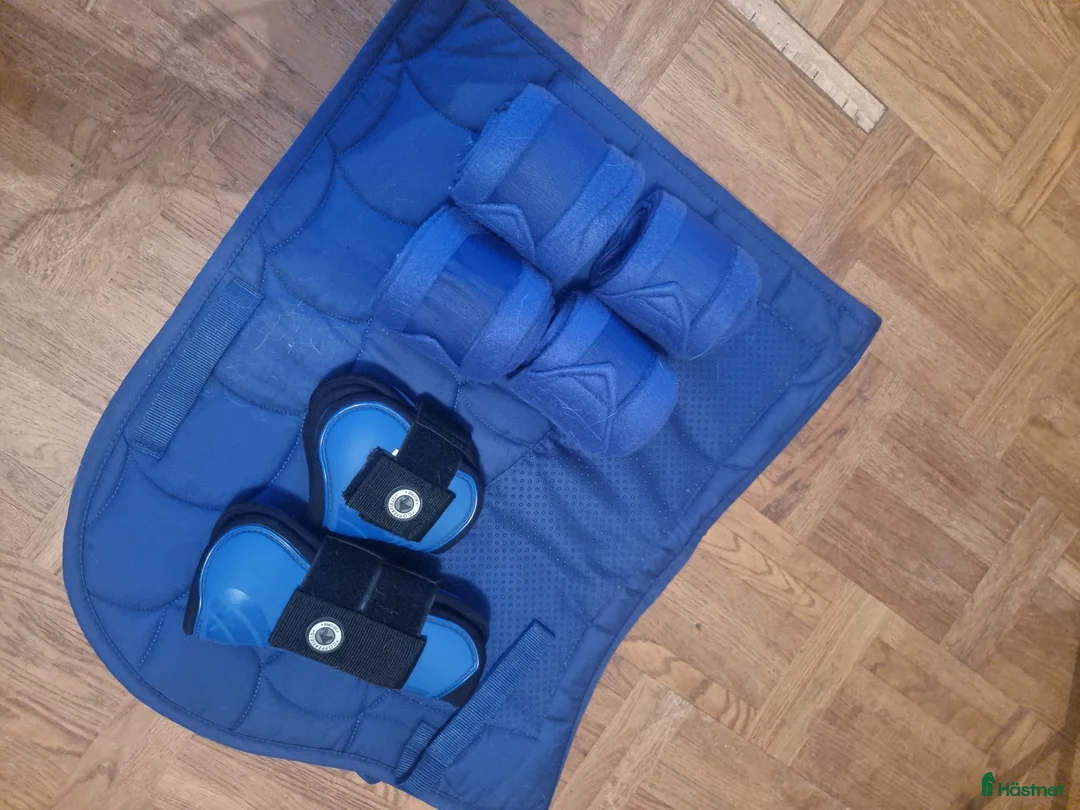 Schabrak & Vojlockar hästutrustning till salu: Schabrak full  i Nybro - Annons 2