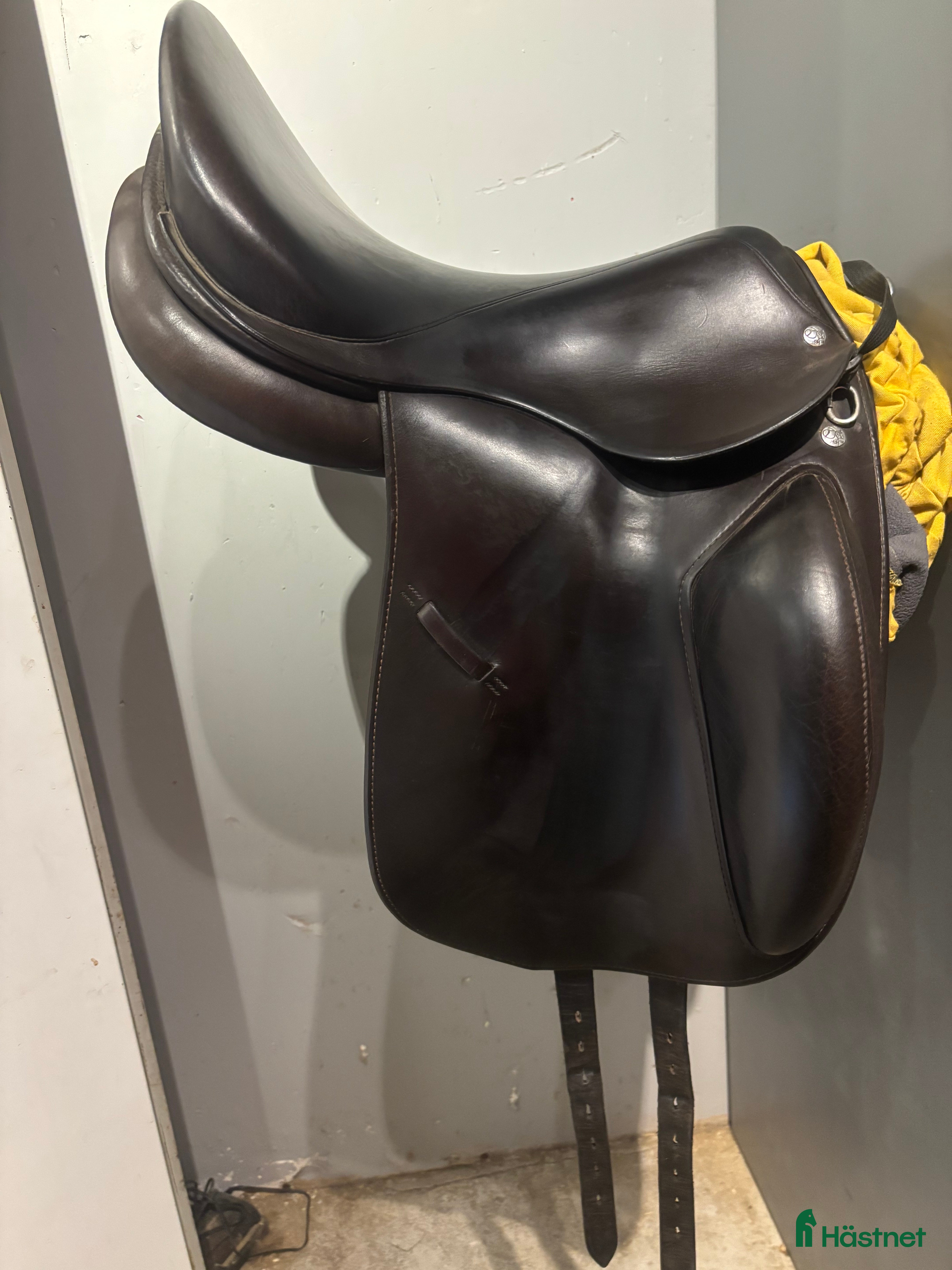 Sadlar hästutrustning till salu: Röösli på många olika ryggar i Haparanda - Annons 2