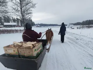 hästar Vi söker ny häst till vår verksamhet i Nora - Annons 5