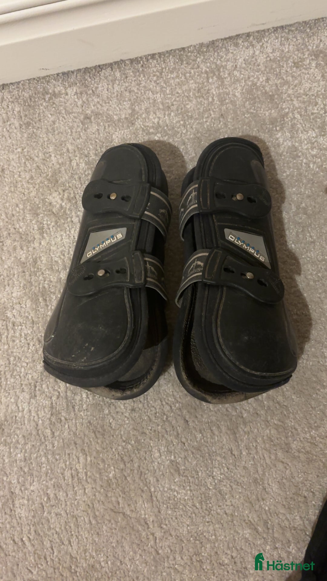 Benskydd hästutrustning till salu: Veredus benskydd  i Vetlanda - Annons 1