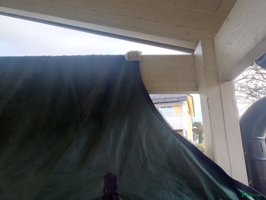 Täcken hästutrustning till salu: Fräscht grönt hästtäcke  i Kista - Annons 7