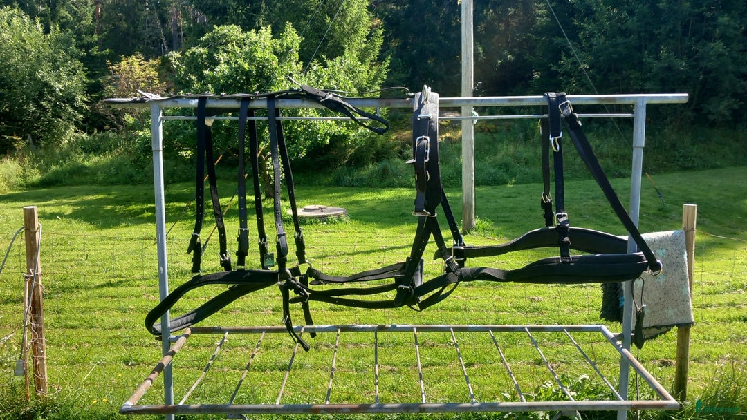 Körselar körning till salu: Ideal maraton webtech xfull-shire  i Klässbol - Annons 6