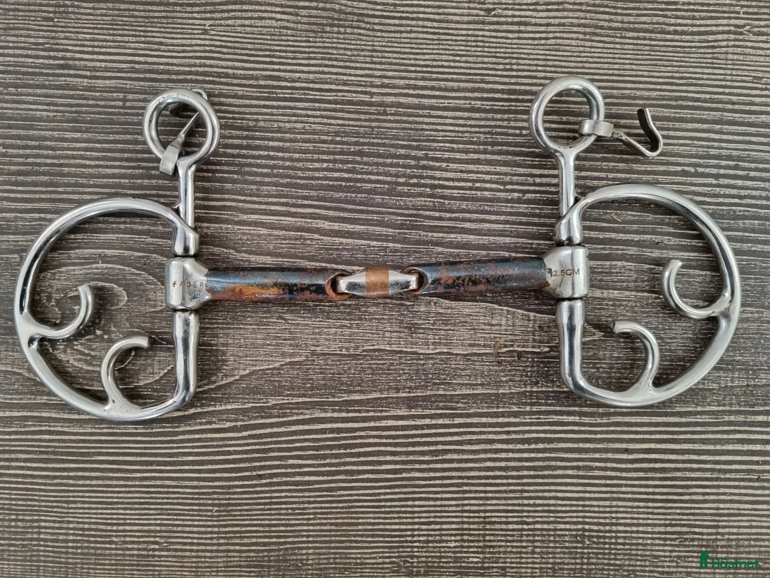 Bett hästutrustning till salu: Fager John i Tingsryd - Annons 1