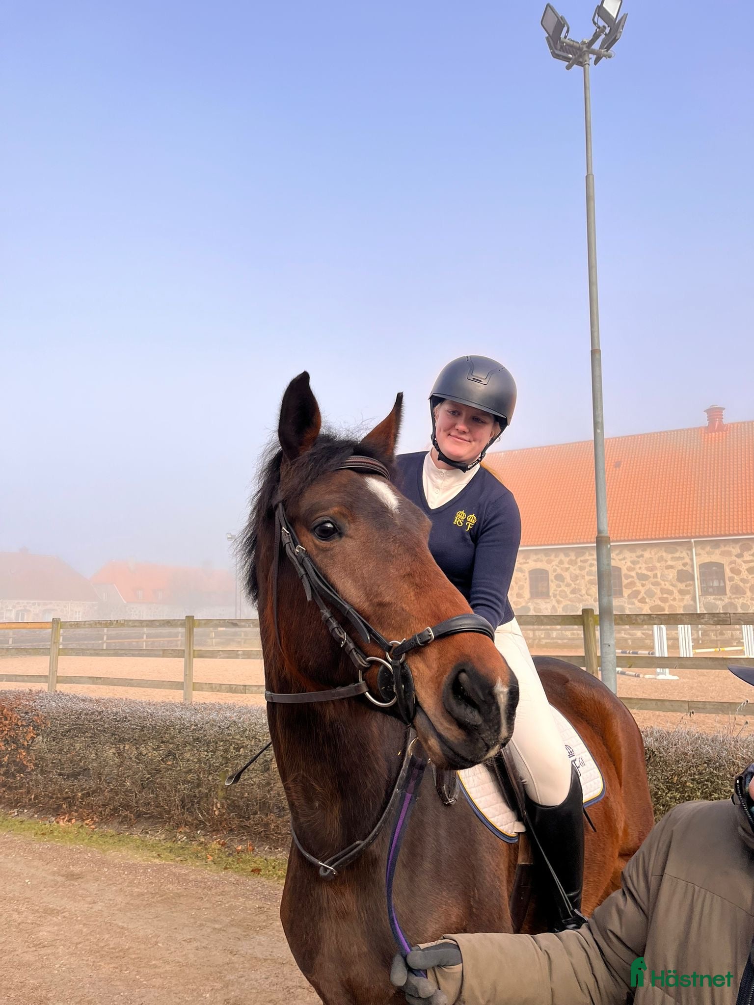  medryttarhäst sökes: Hippologstudent söker samarbete  - Annons 4