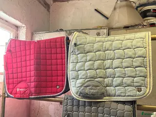 Schabrak & Vojlockar hästutrustning 3 Full dressyrschabrak - Annons 14