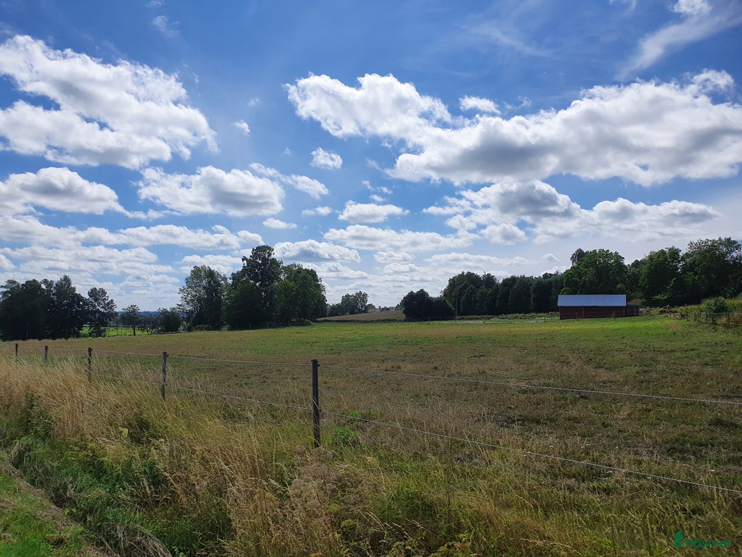  stallplats finnes: Box utanför Falköping för snäll häst och ägare i Falköping - Annons 6