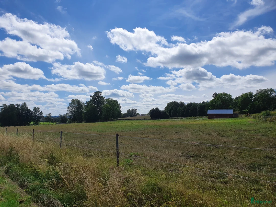  stallplats finnes: Box utanför Falköping för snäll häst och ägare - Annons 6