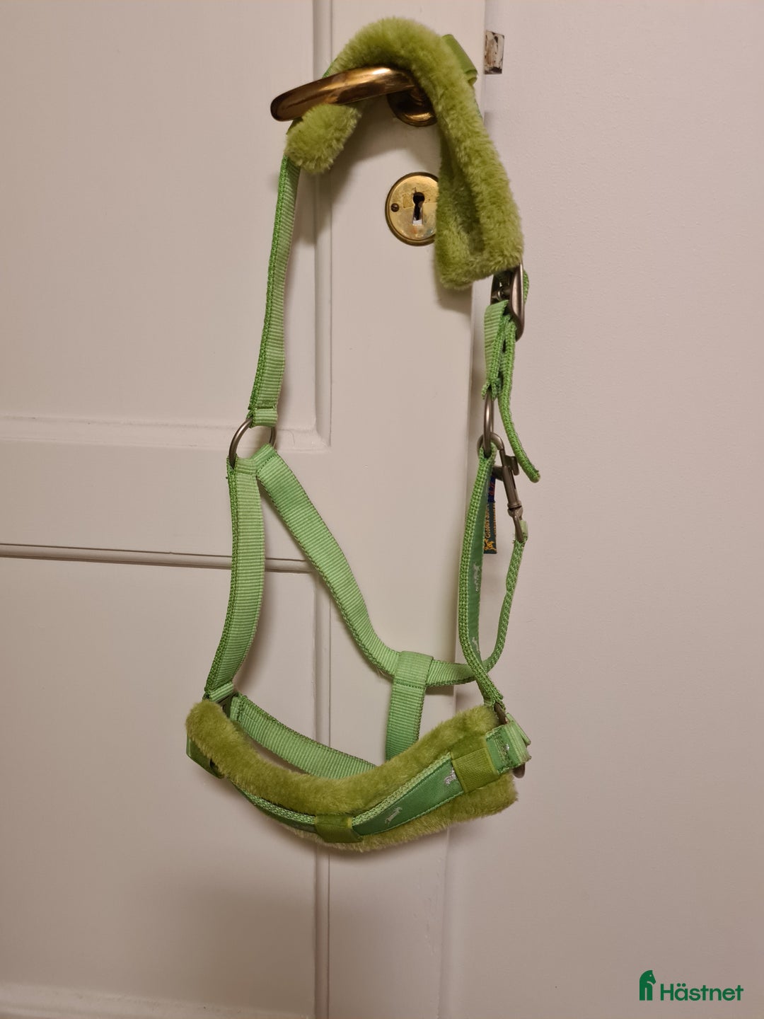 Schabrak & Vojlockar hästutrustning till salu: Showmaster set hopp full+ lindor och grimma i Rimbo - Annons 3