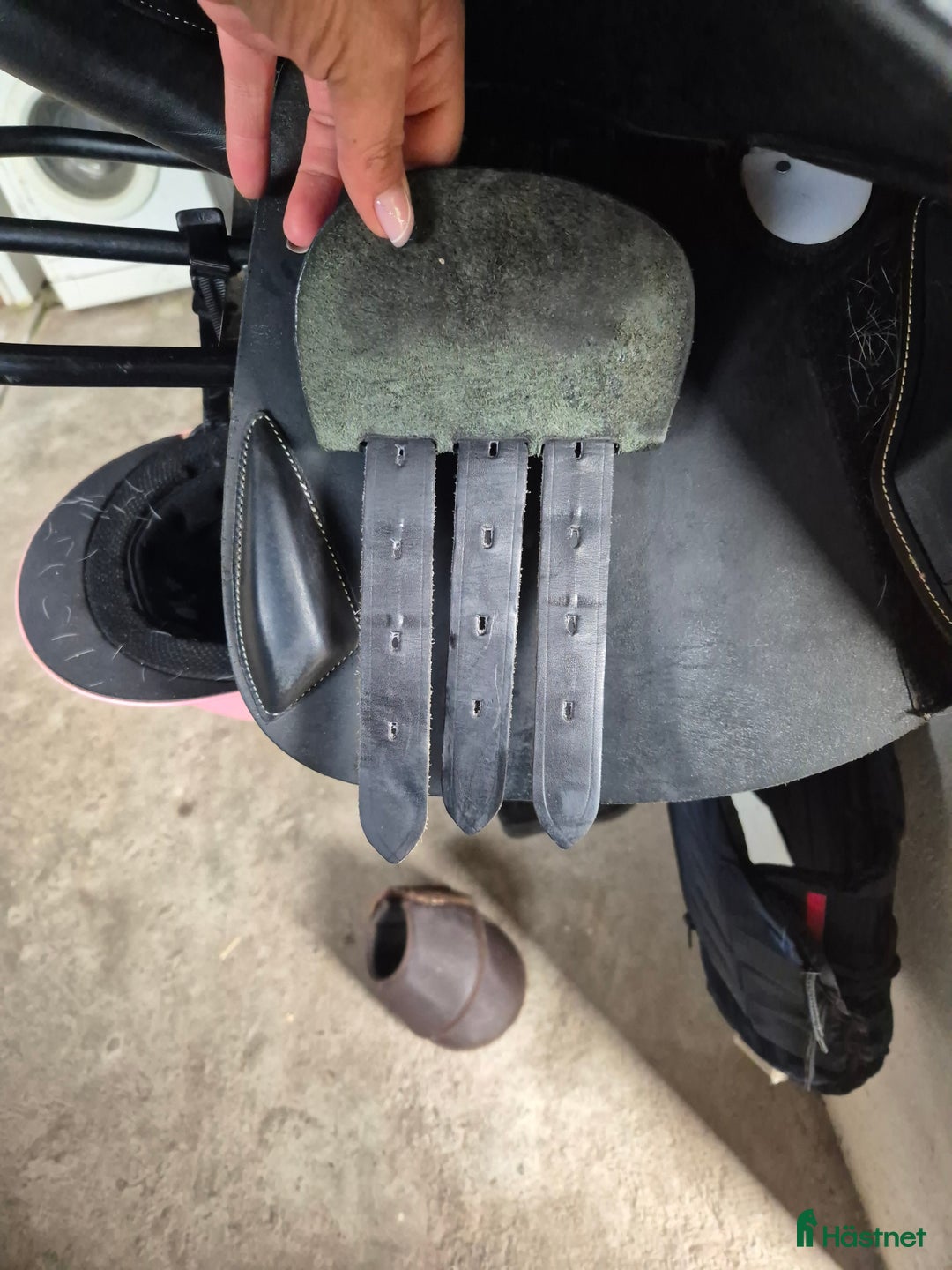 Sadlar hästutrustning till salu: Knigts Siddhant  i Hässleholm - Annons 3