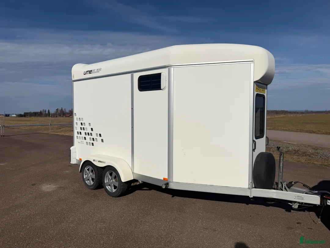 Hästtransporter  fordon & transport till salu: UME B60 -15 - Toppskick! - Annons 2