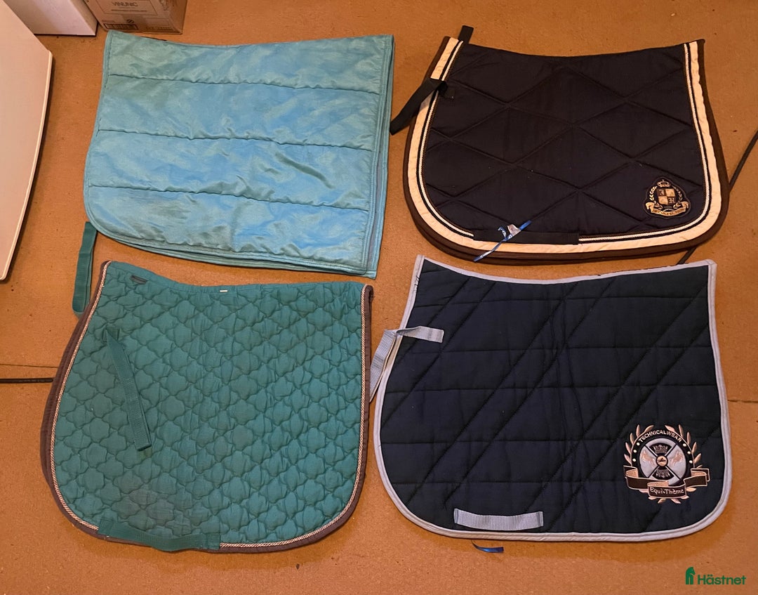 Schabrak & Vojlockar hästutrustning till salu: Schabrak, begagnade och nya  i Vallberga - Annons 1