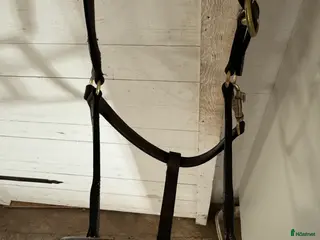 Övrig Hästutrustning hästutrustning Billiga lädergrejer i Skövde - Annons 9