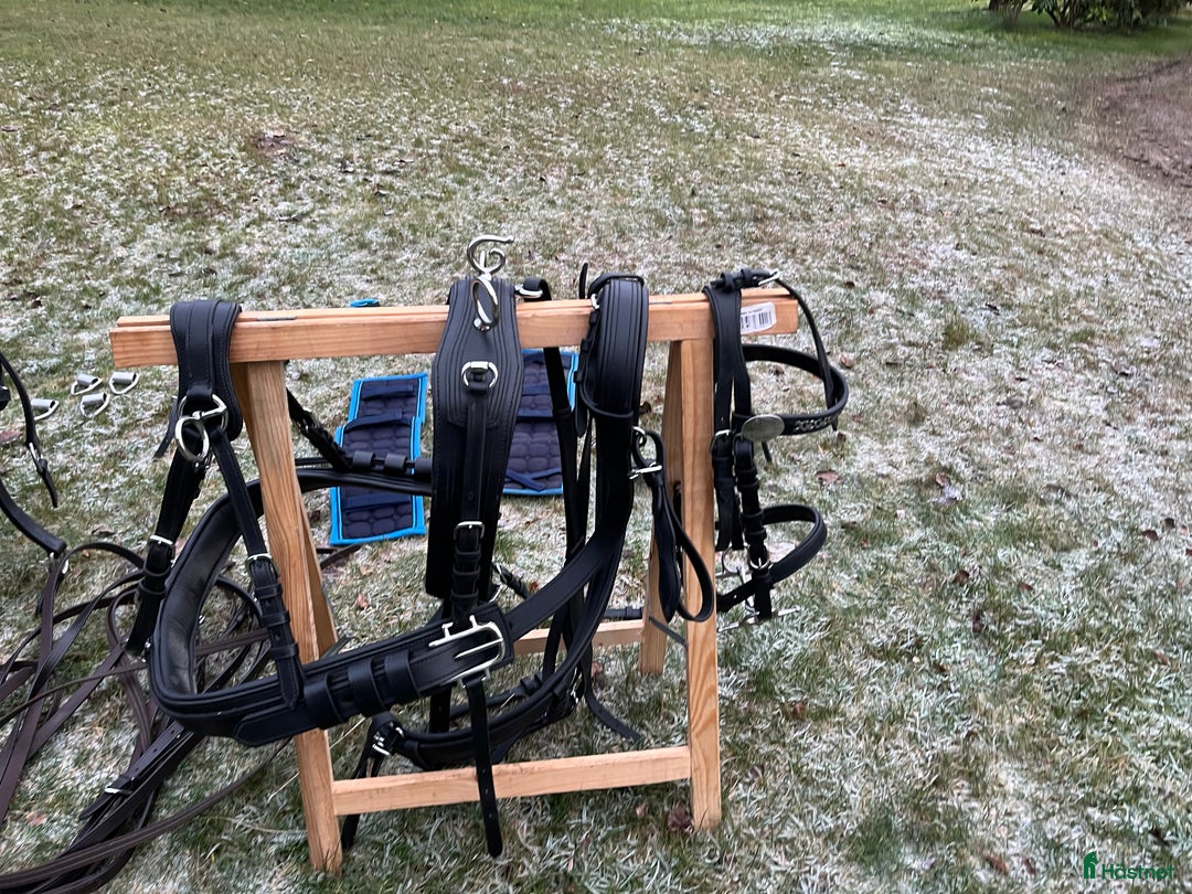 Körselar körning till salu: Parselar ponny Ideal i Västra Ämtervik - Annons 5