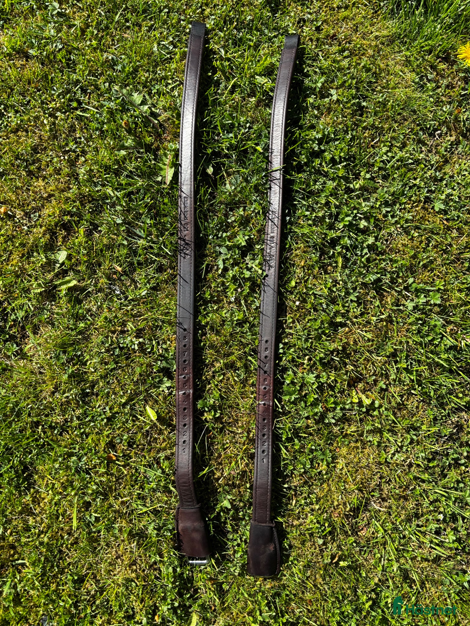 Sadeltillbehör hästutrustning Stigläder Dressyr mono 150 - Annons 5