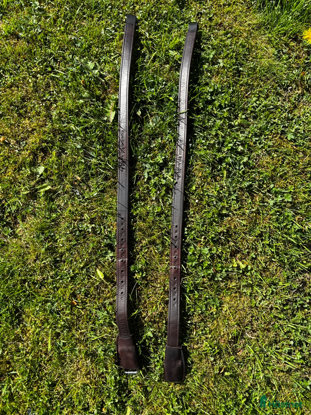 Sadeltillbehör hästutrustning till salu: Stigläder Dressyr mono 150 - Annons 2