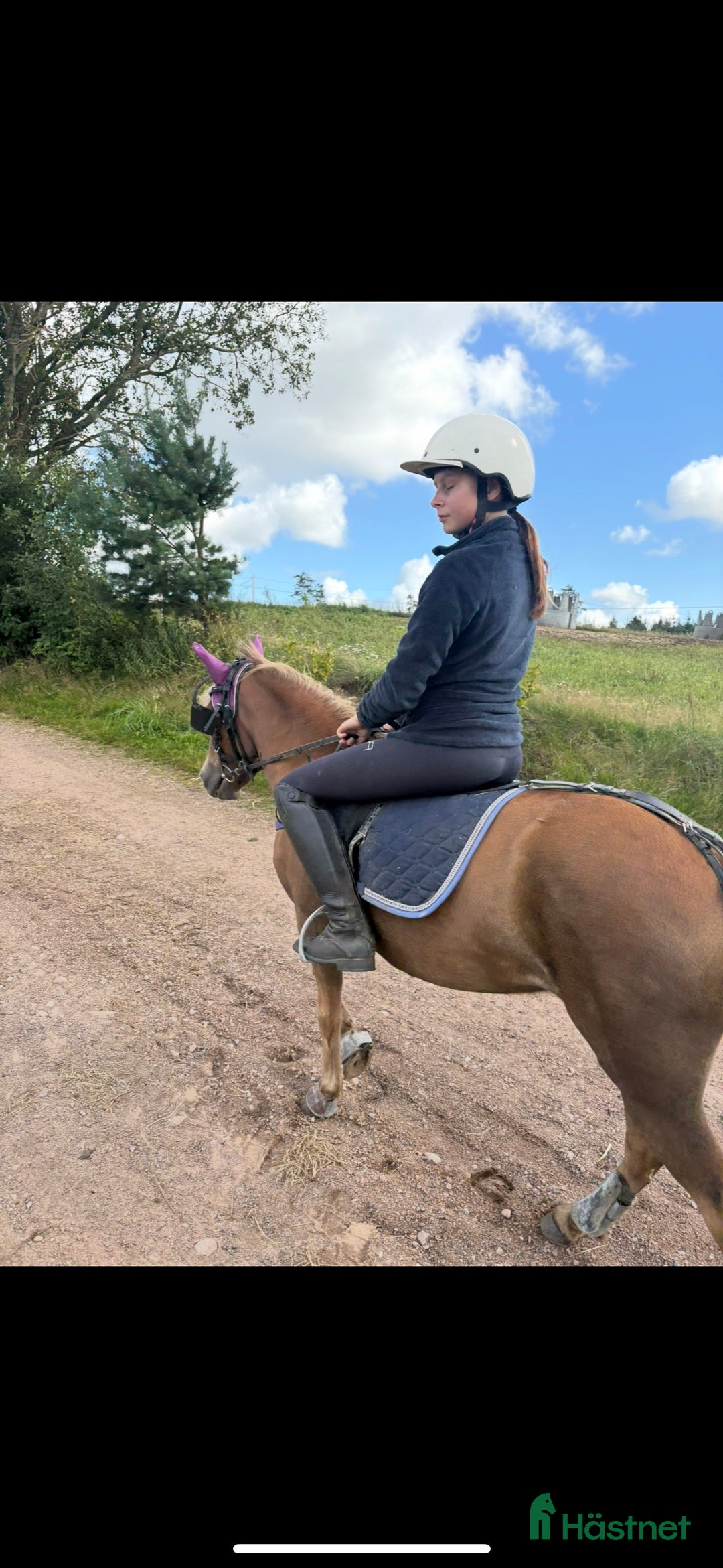 Trav hästar till salu: Fin ponnytravare till salu i Laholm - Annons 3