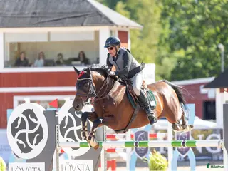 Hoppning hästar till salu: En av Sveriges bästa 6 åringar i Kungsängen - Annons 2