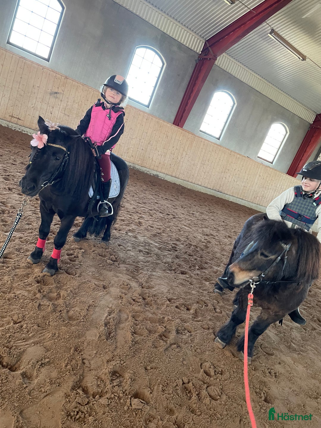 Allround hästar till salu: Bästa första ponnyn till den mindre ryttaren 🐴 i Skövde - Annons 6