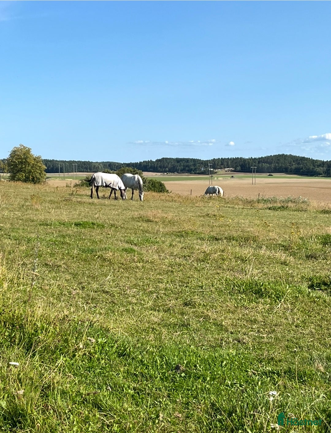  stallplats finnes: Norrköping i Norrköping - Annons 6