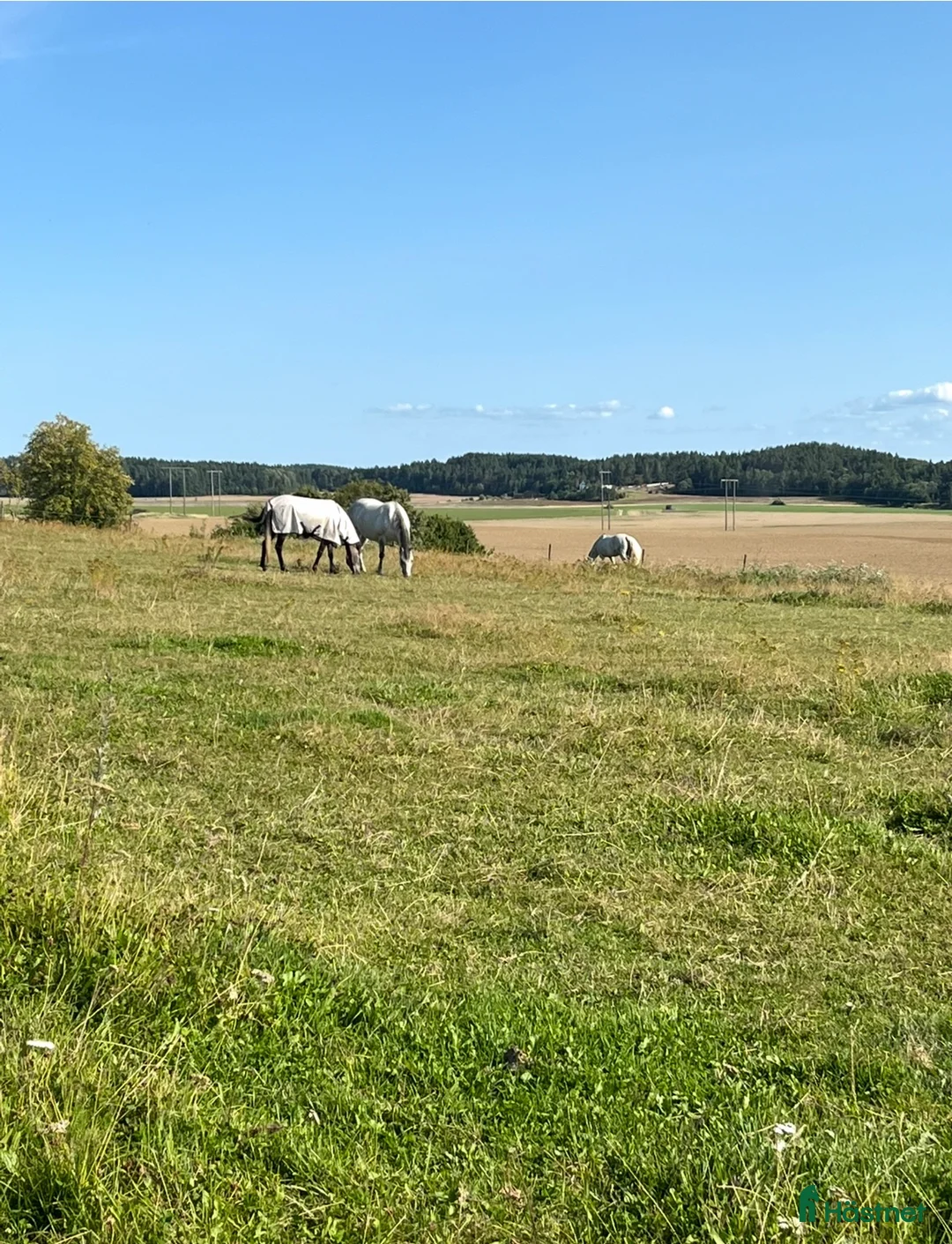 stallplats finnes: Norrköping i Norrköping - Annons 6