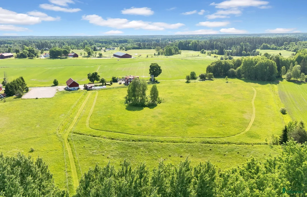  stallplats finnes: Sommarbete juni-augusti - Annons 2