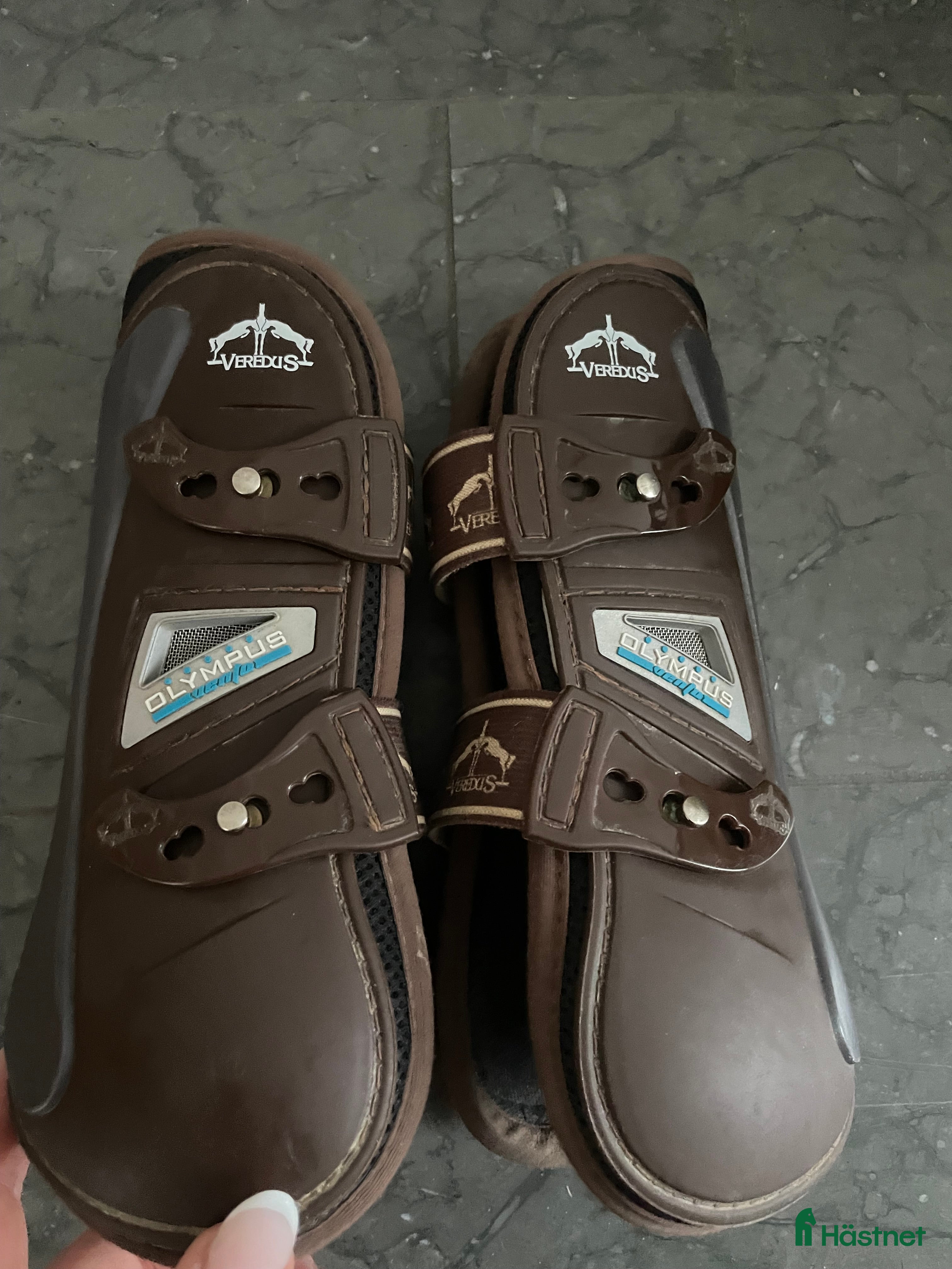 Benskydd hästutrustning Fina Verdus framskydd  - Annons 24