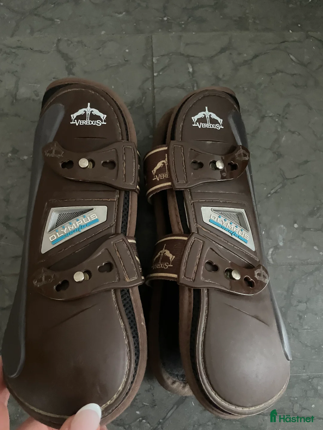 Benskydd hästutrustning till salu: Fina Verdus framskydd  - Annons 1