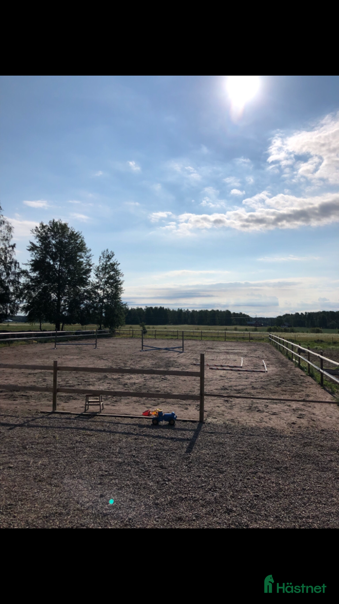  foderhäst sökes: Bästa vän sökes! i Mariestad - Annons 2