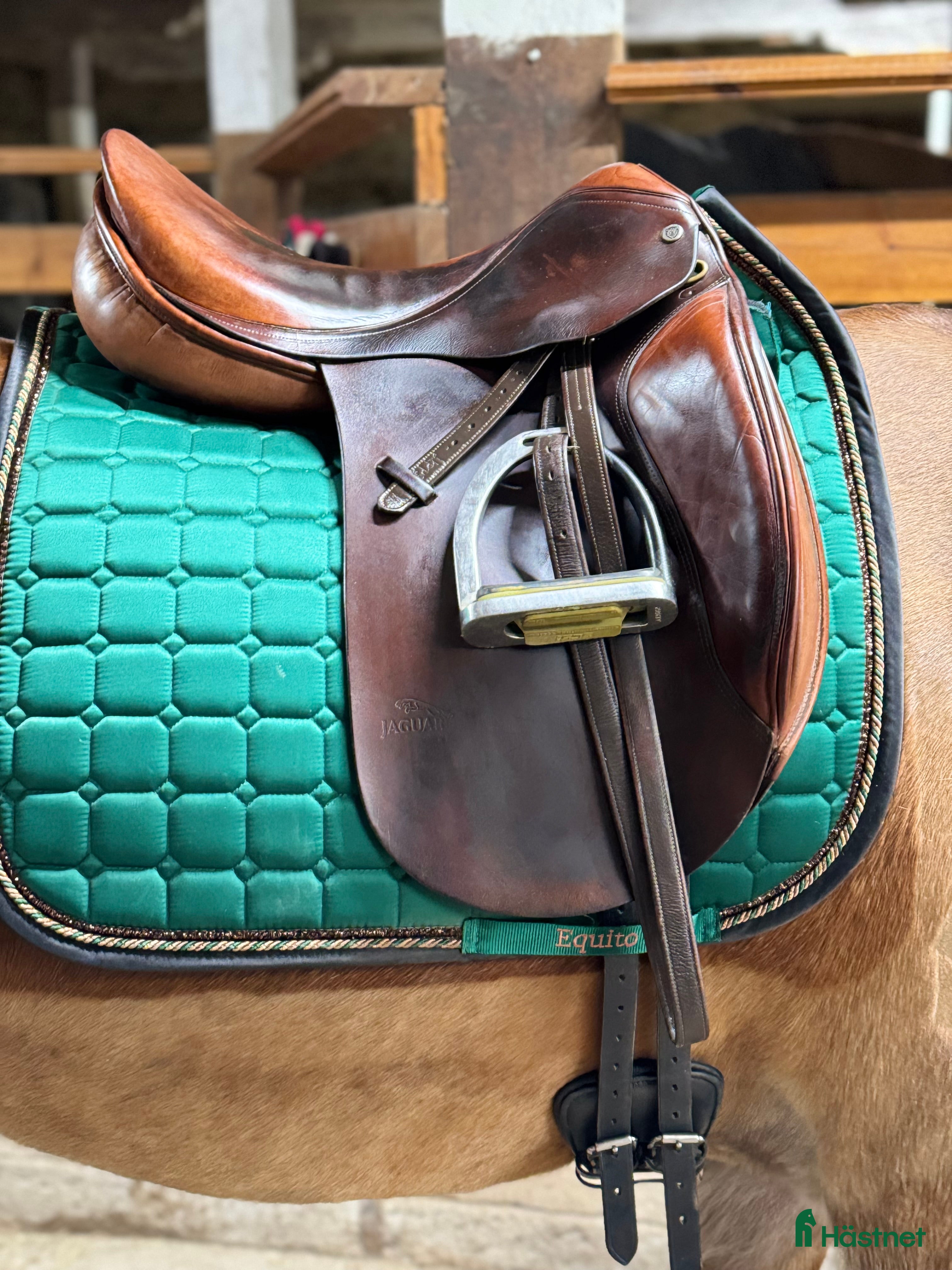 Sadlar hästutrustning till salu: Jaguar Dressyrsadel  i Uppsala - Annons 2