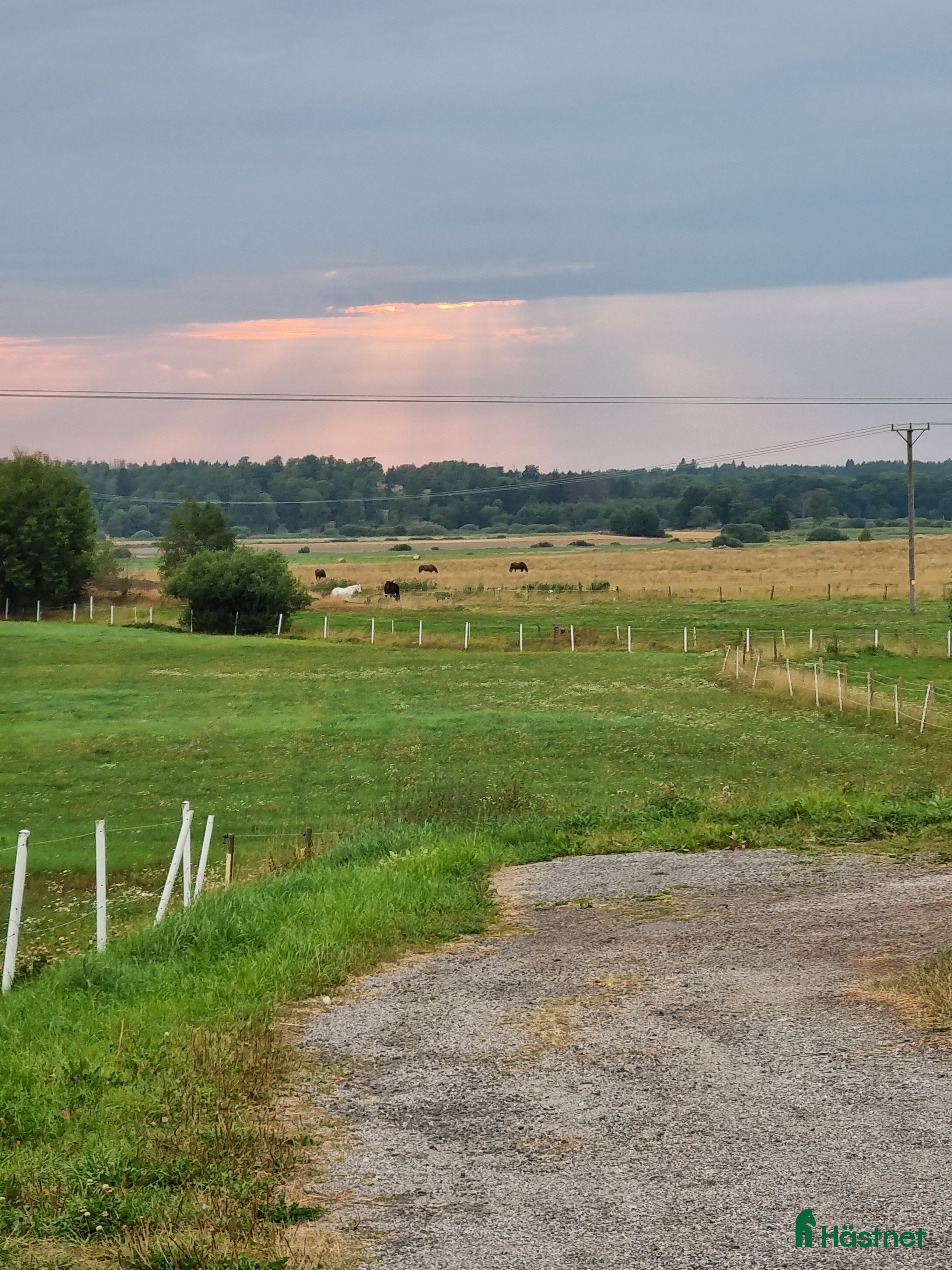  stallplats Stallplats Angarns Lundby  i Vallentuna - Annons 18