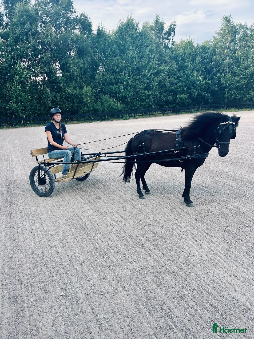 Körvagnar körning till salu: Körsele i svart läder med vagn för A-B ponny. - Annons 1
