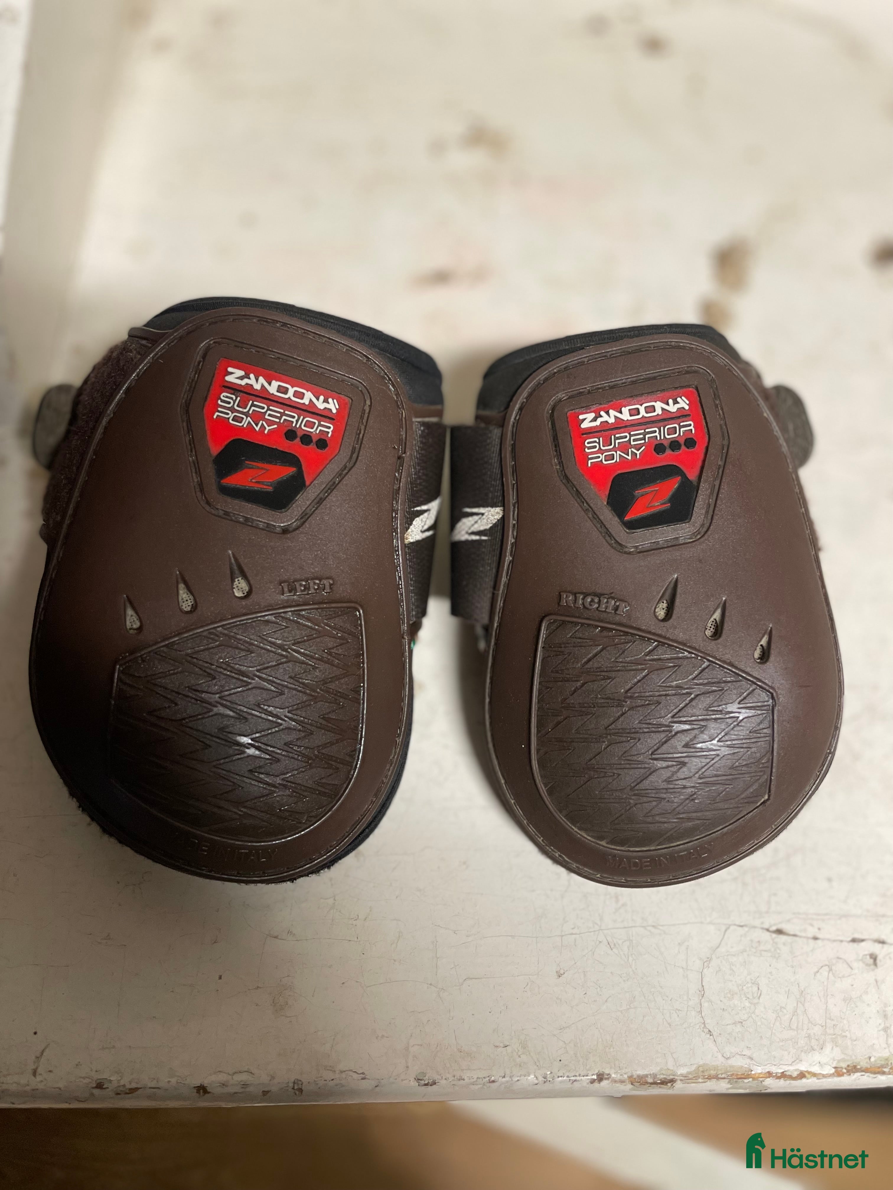 Benskydd hästutrustning till salu: Zandona benskydd  i Rolfstorp - Annons 1