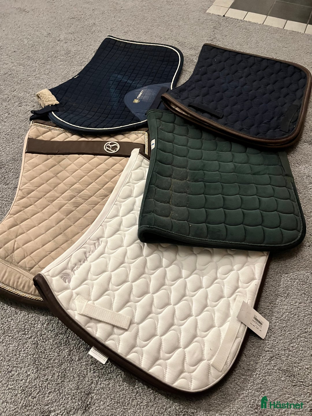 Schabrak & Vojlockar hästutrustning till salu: Lite olika schabrak  i Tibro - Annons 4