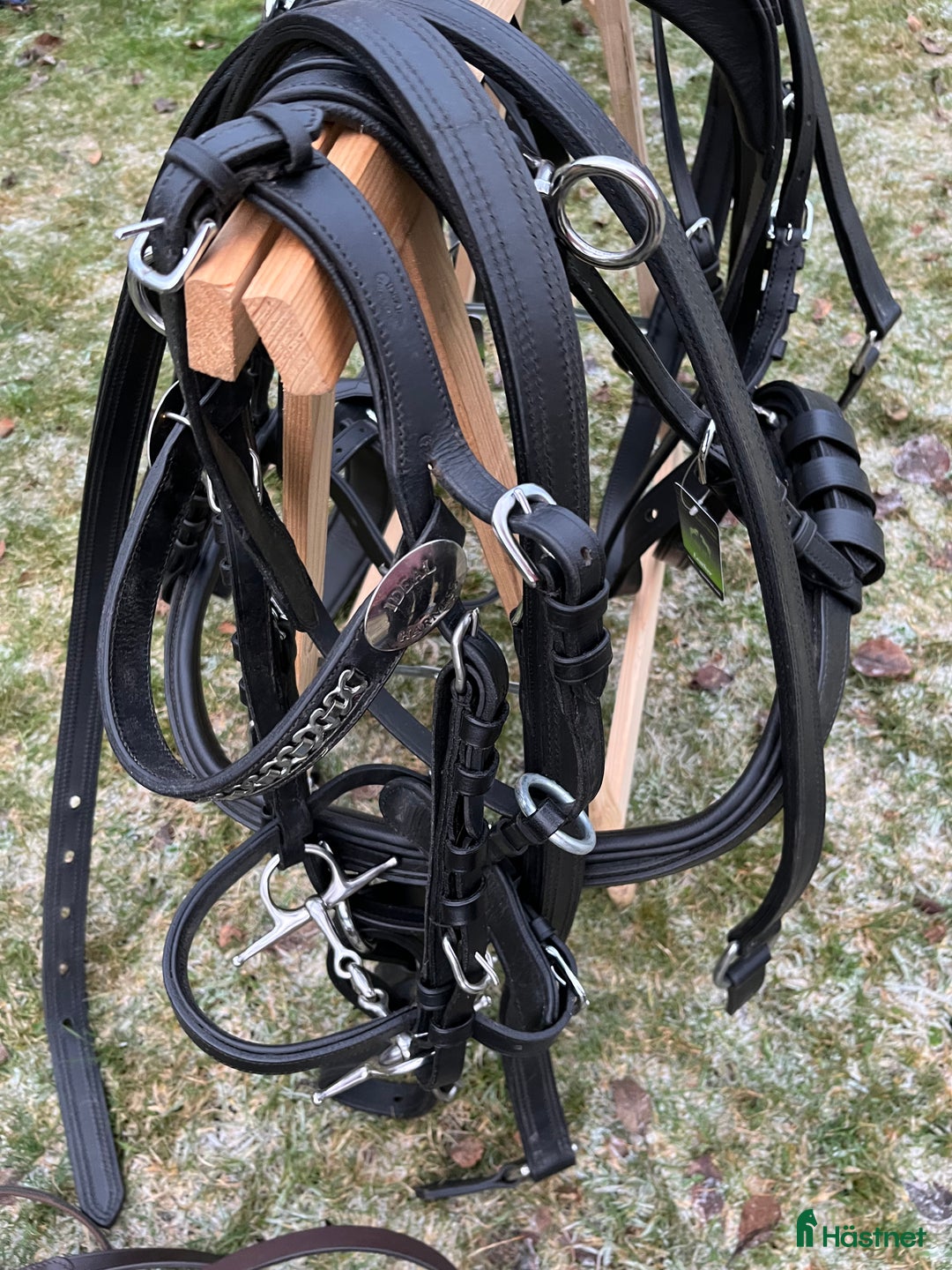 Körselar körning till salu: Parselar ponny Ideal i Västra Ämtervik - Annons 14